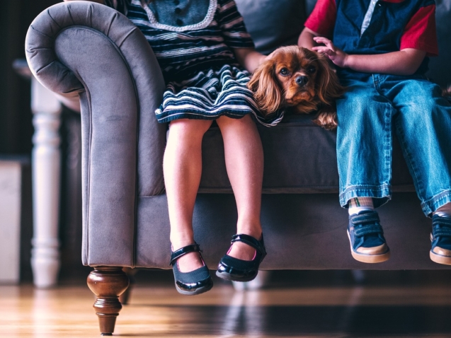 dubinsko ćišćenje bctom