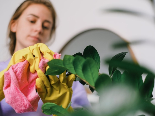 cijena generalnog čišćenja Zagreb